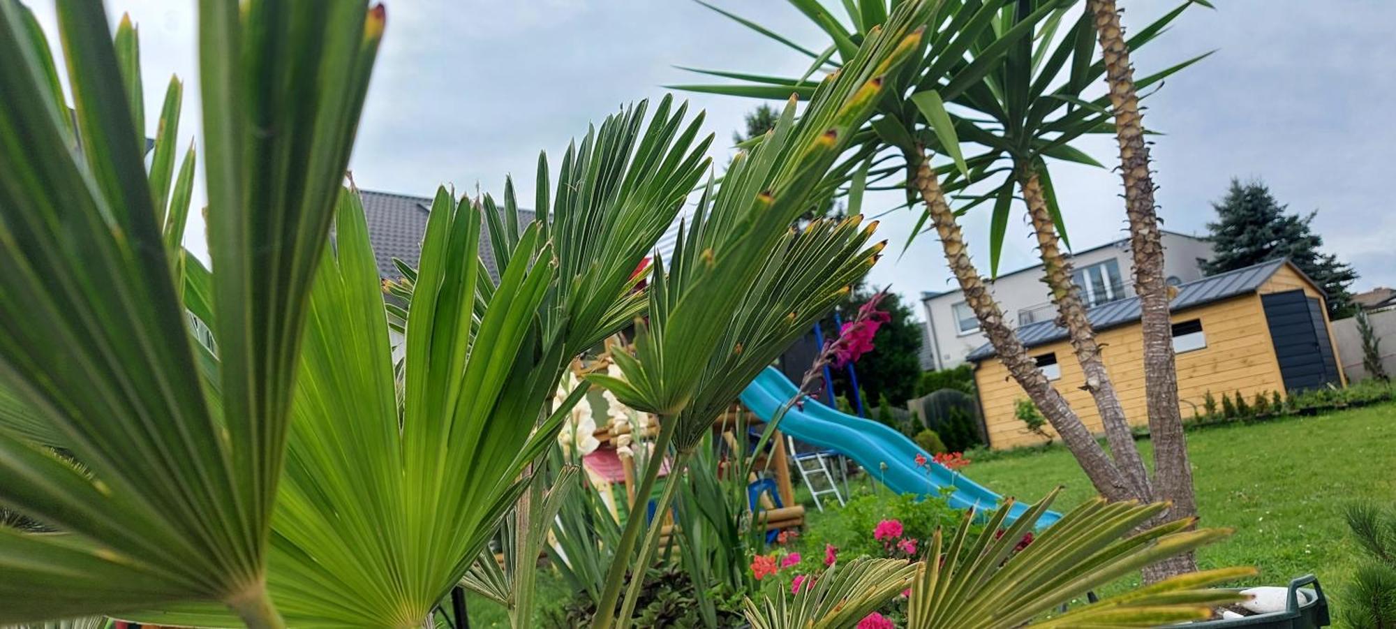 Pokoje Goscinne Jutrzenka Swarzewo Exterior foto